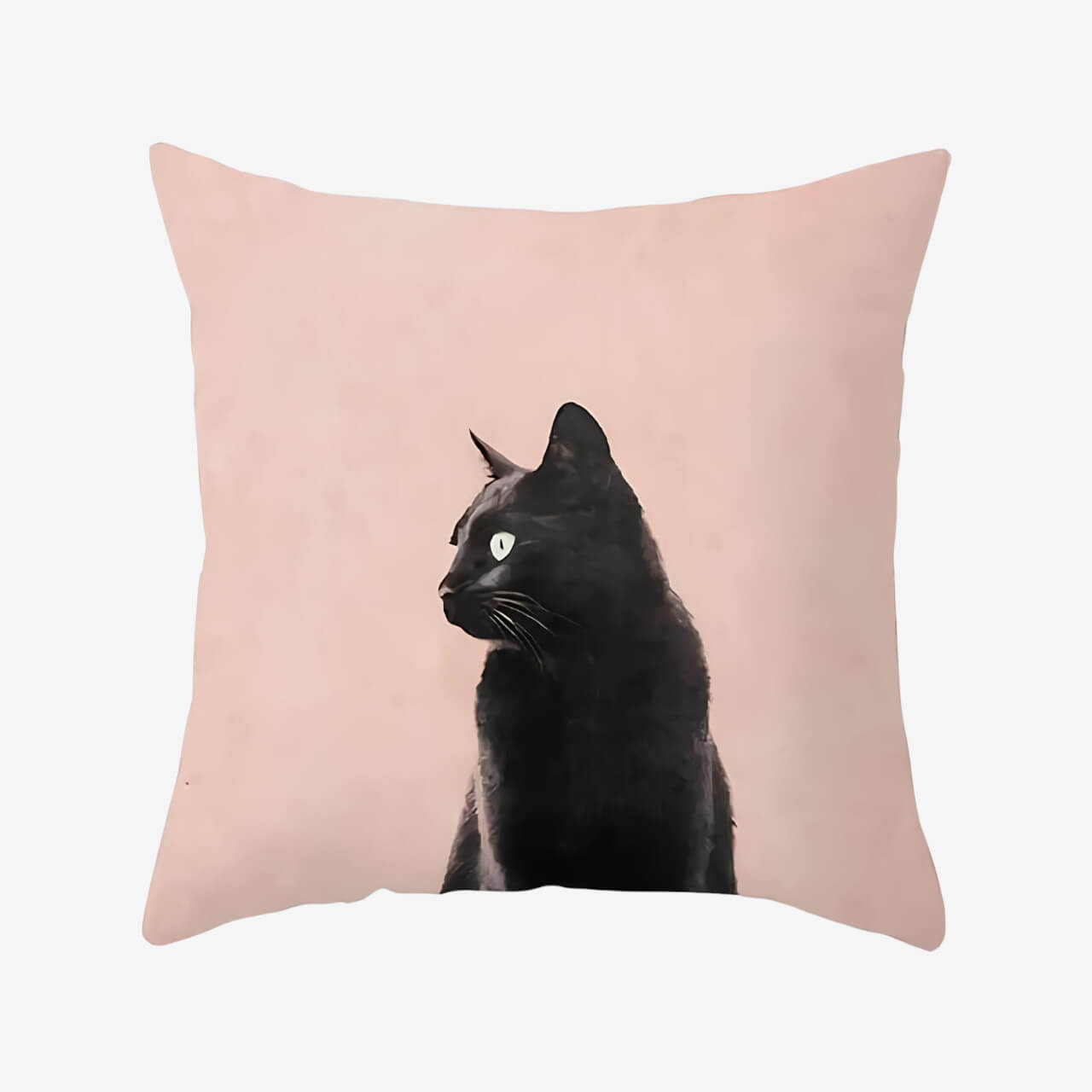 Coussin chat portrait vie paisible