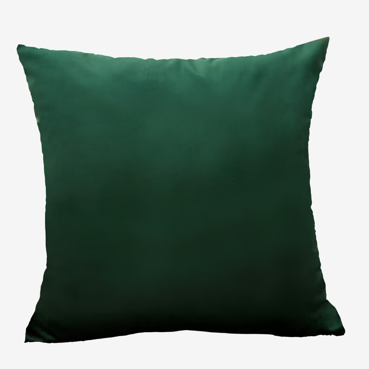 Coussin vert décoratif