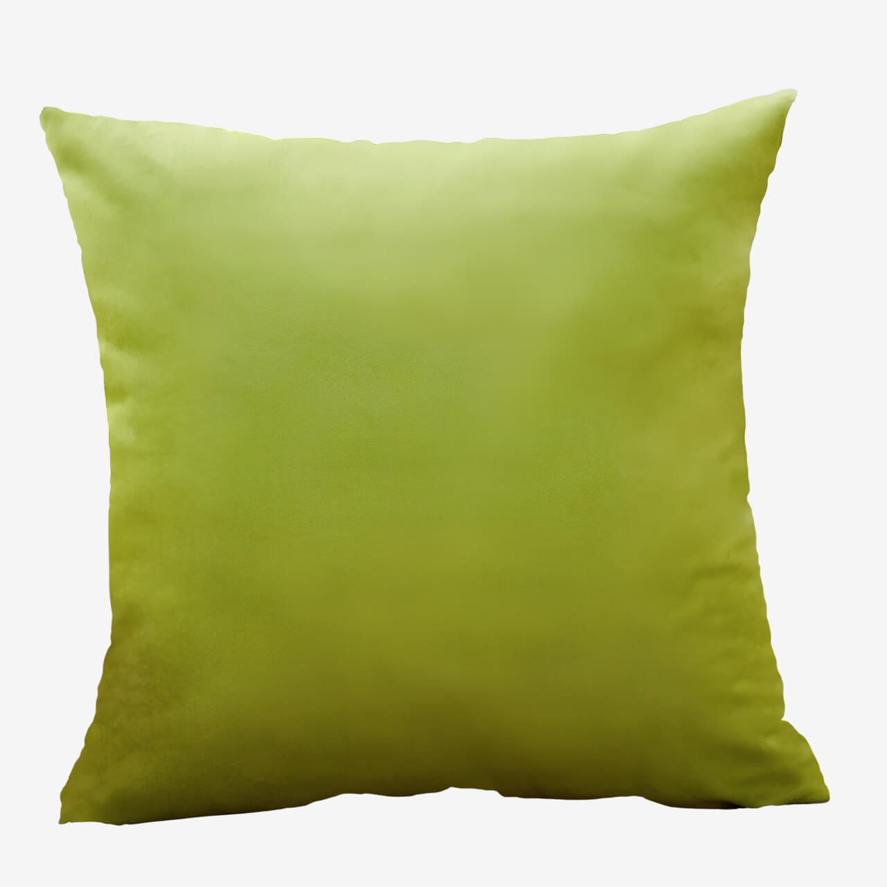 Coussin vert décoratif