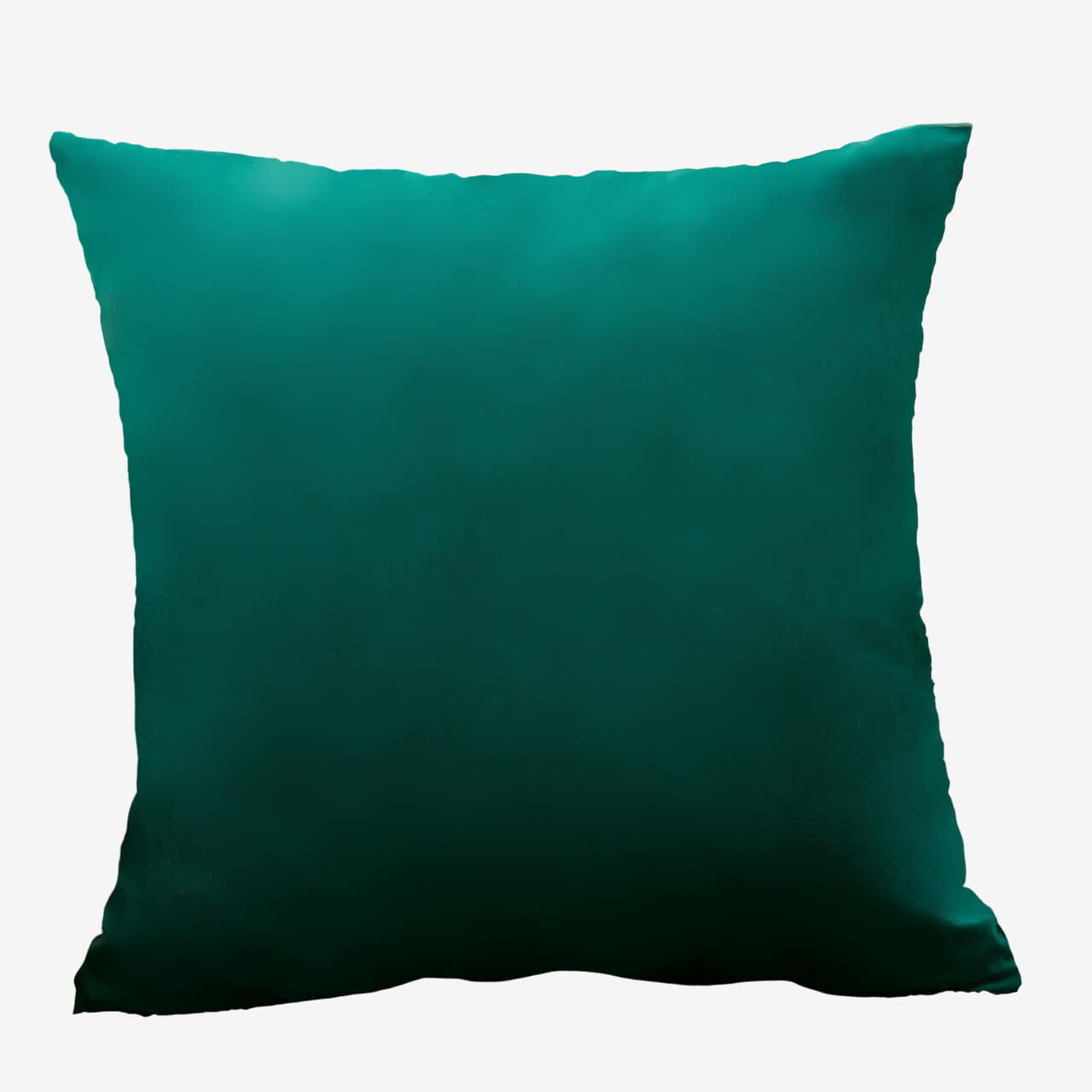 Coussin vert décoratif